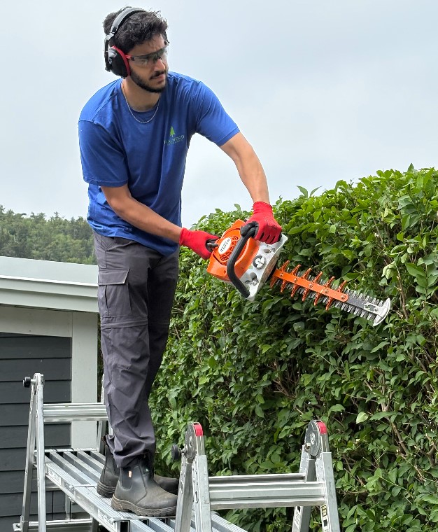 trailwood landscaping