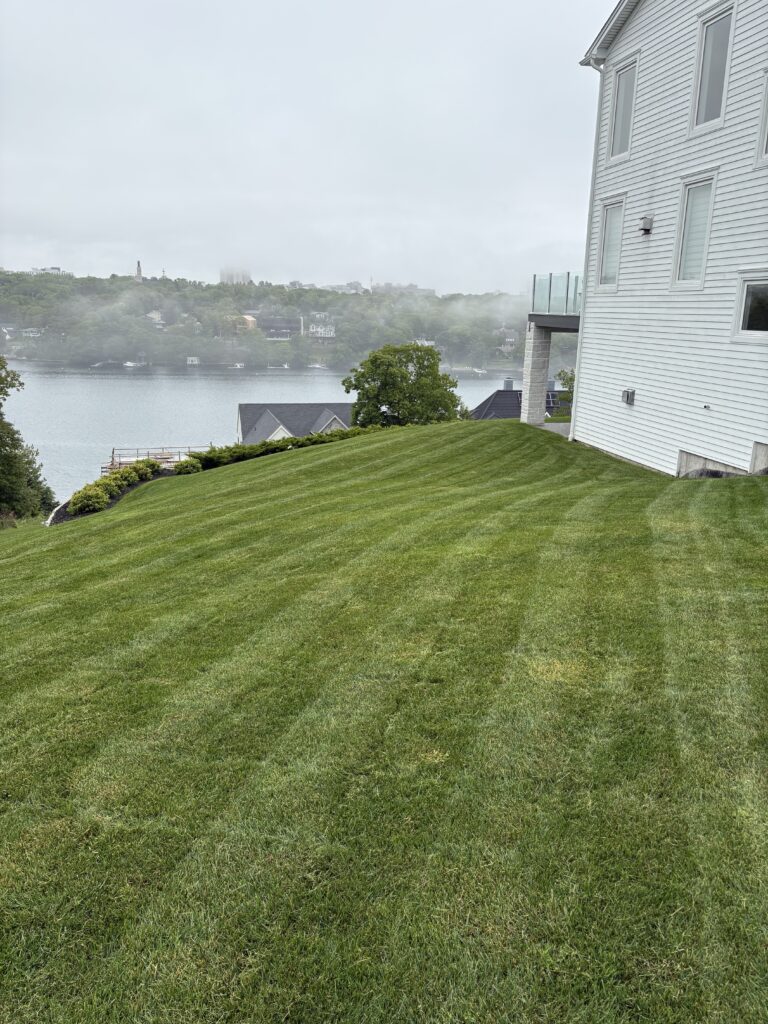 Trailwood Landscaping