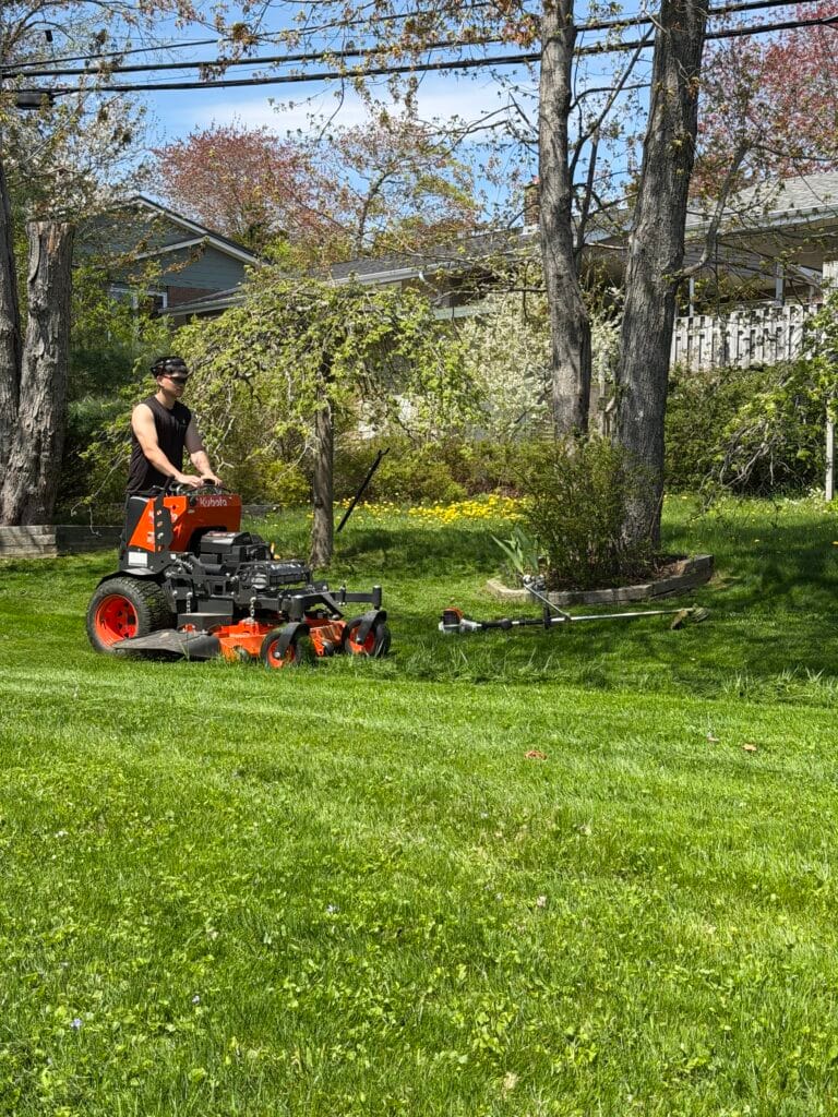 lawn mowing trailwood landscpaing