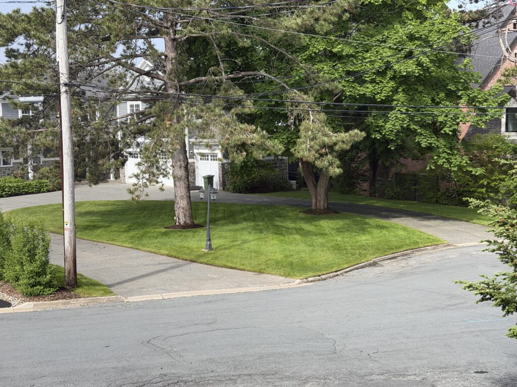 Luxury Landscaping Halifax